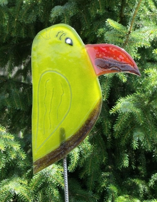 Vogel